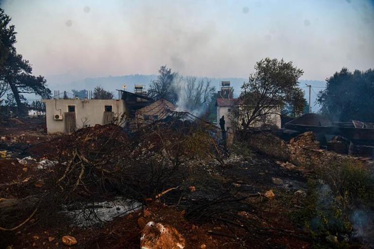 Seydikemerde tarım arazisinde çıkan yangın, Kaşta ormana sıçradı