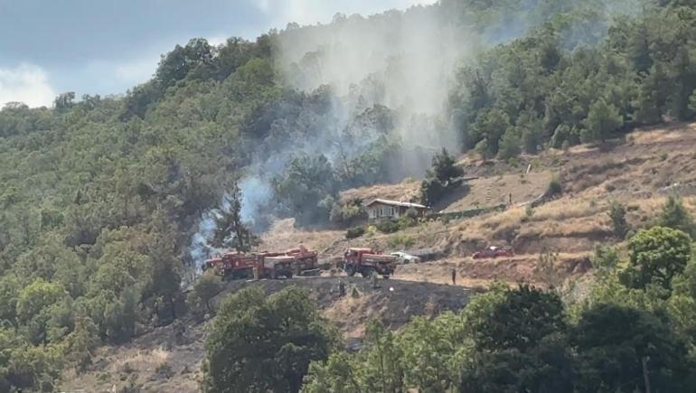 Bursada orman yangını