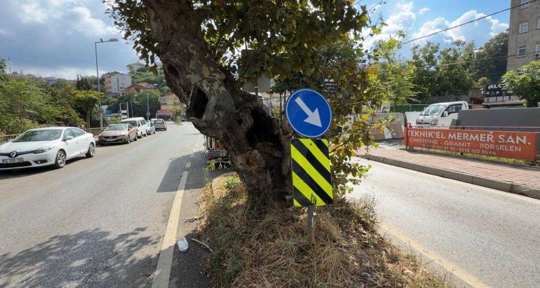 Beykozda motosiklet ağaca çarptı; sürücü yola savruldu