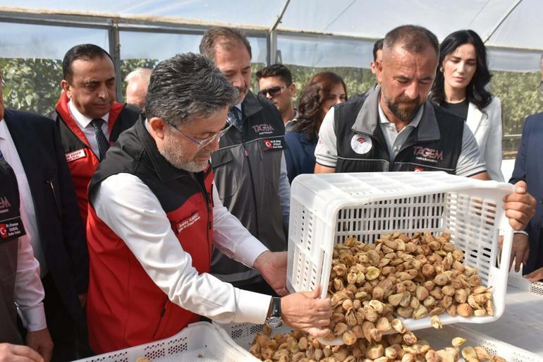 Bakan Yumaklı: Rekolte tahmini yaş incirde 388 bin, kuru incirde 94 bin ton
