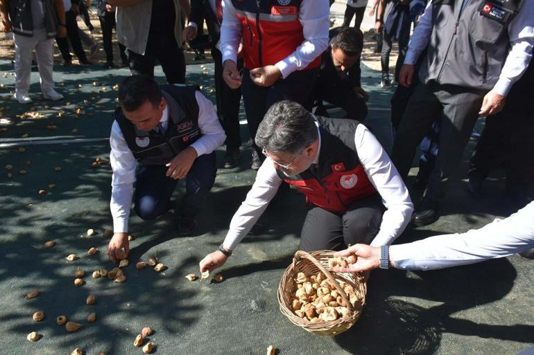 Bakan Yumaklı: Rekolte tahmini yaş incirde 388 bin, kuru incirde 94 bin ton