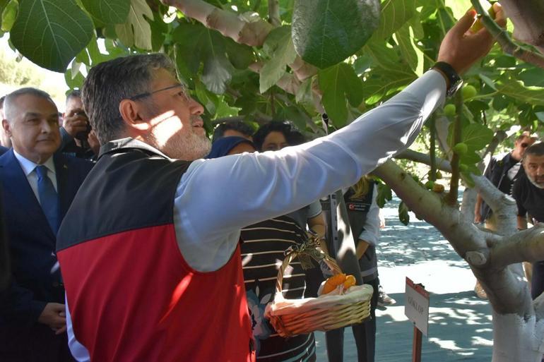 Bakan Yumaklı: Rekolte tahmini yaş incirde 388 bin, kuru incirde 94 bin ton