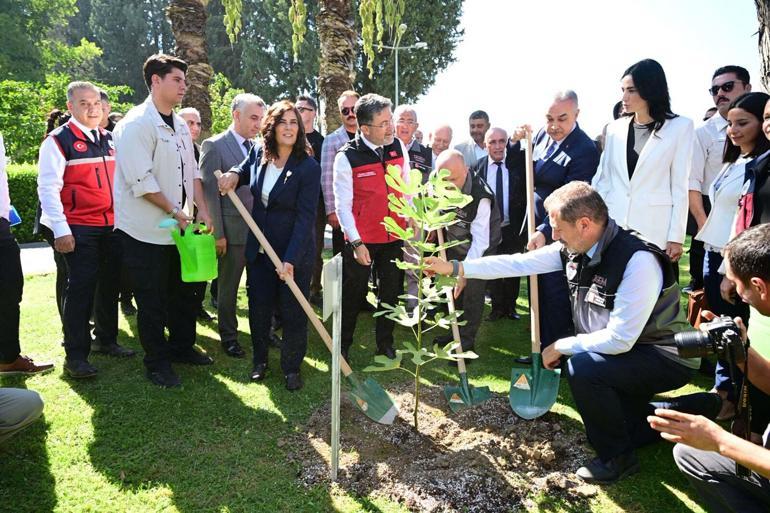 Bakan Yumaklı: Rekolte tahmini yaş incirde 388 bin, kuru incirde 94 bin ton