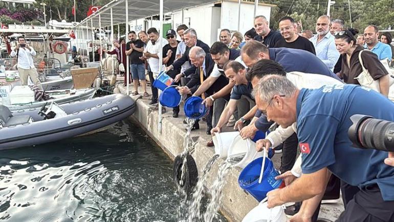 Muğlada balıkçılar, Vira Bismillah diyerek denize açıldı