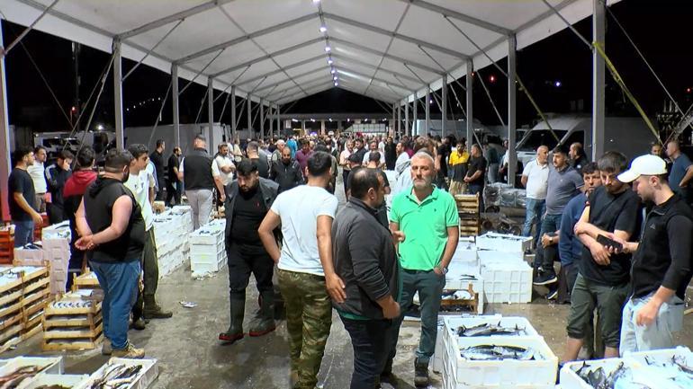 Gürpınar Balık Halinde balıkçılar avdan döndü: Bu sene palamut bol