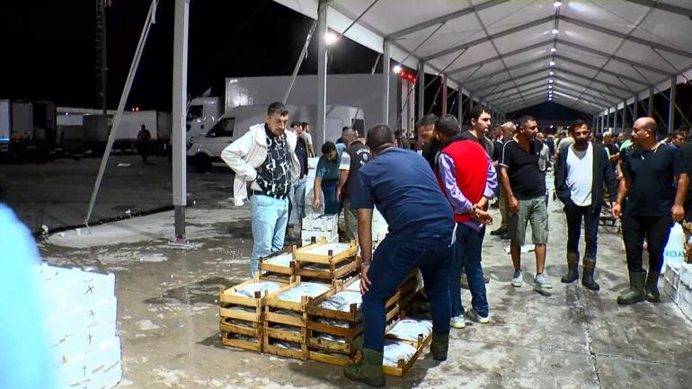 Gürpınar Balık Halinde balıkçılar avdan döndü: Bu sene palamut bol