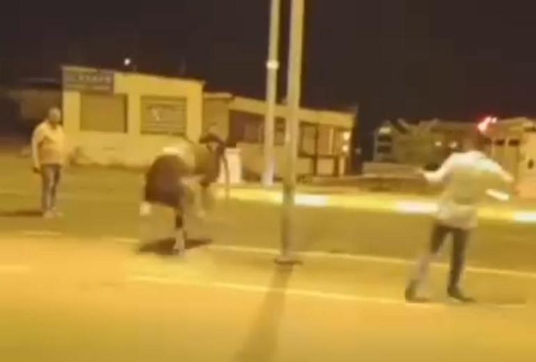 Sahibinin elinden kaçan dana güçlükle yakalandı
