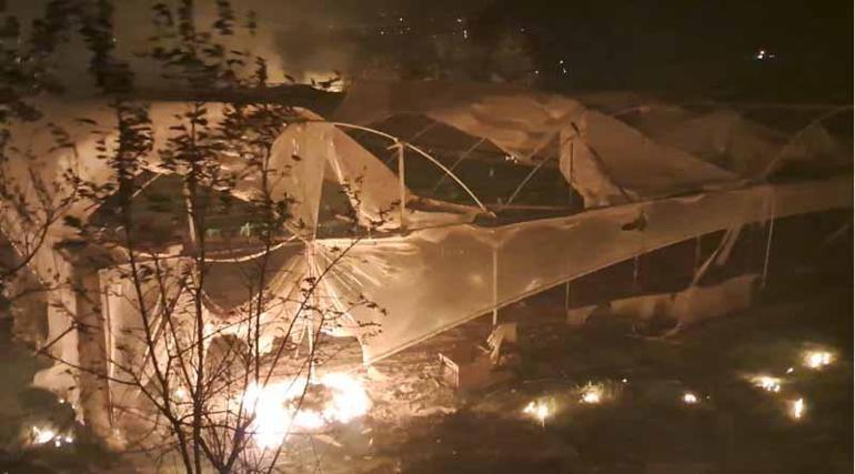 Antalya Serikte orman yangını: Evler ve seralar yandı