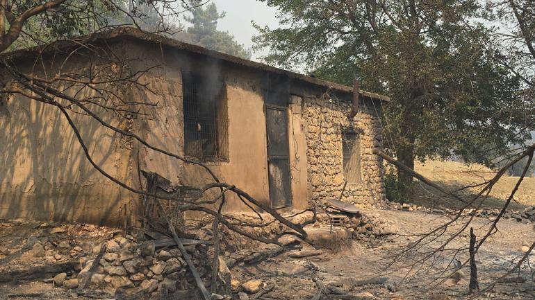 Kozanda 2 ayrı noktada orman yangını; yerleşim yerleri tedbir amaçlı boşaltıldı