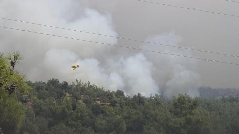 Kozanda başlayıp, 2 ilçeye daha sıçrayan orman yangını 2’nci gününde