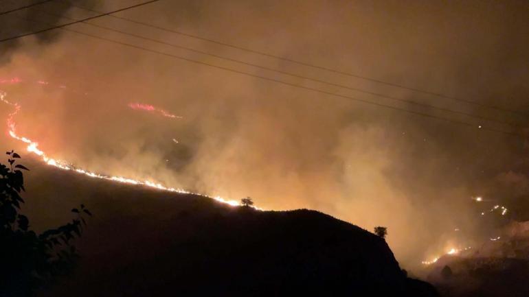 Aydında tarım arazisinde yangın