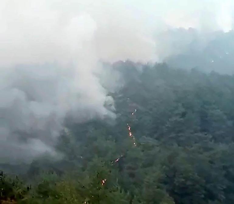 Kozan’da başlayıp, 2 ilçeye daha sıçrayan orman yangını 3’üncü gününde