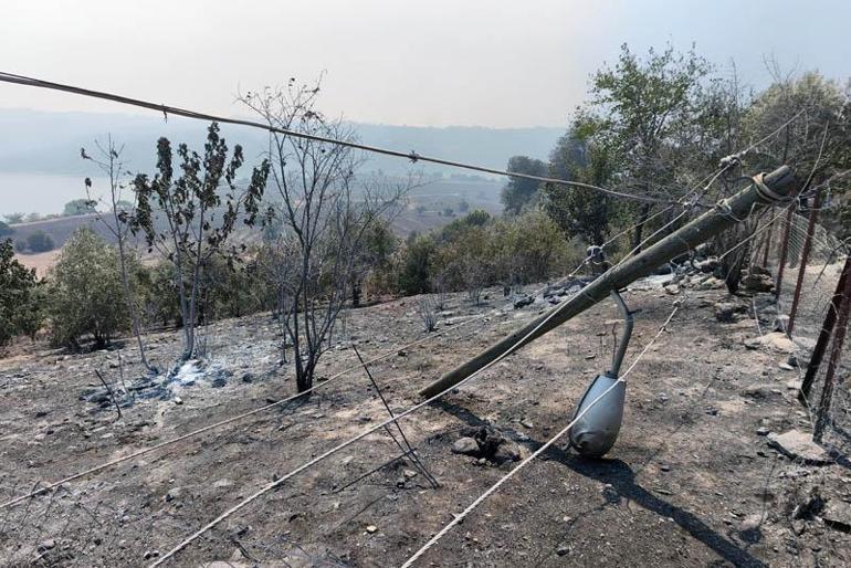 Kozan’da başlayıp, 2 ilçeye daha sıçrayan orman yangını 3’üncü gününde