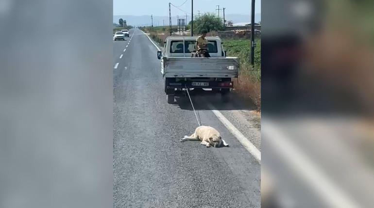 Köpeği kamyonetin arkasına bağlayıp sürükleyerek götürdü
