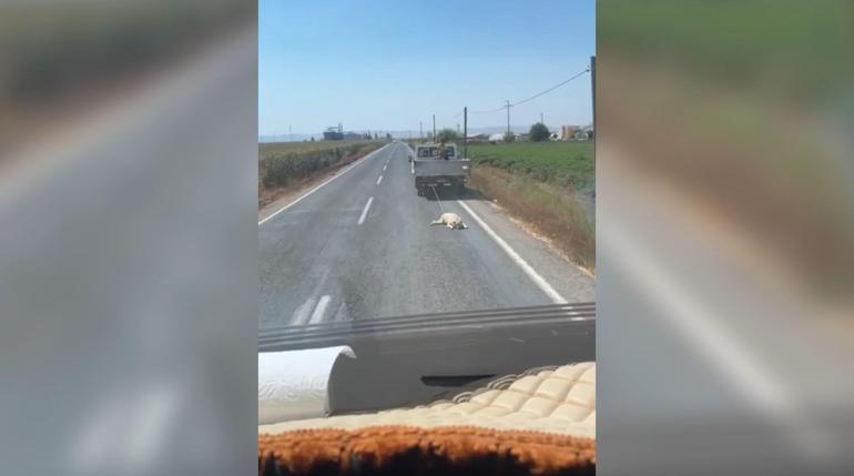 Köpeği kamyonetin arkasına bağlayıp sürükleyerek götürdü