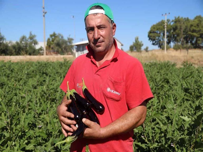 Antalyada üretilen sebze ve meyvenin fiyatı tezgaha ulaşana kadar 2 katına çıkıyor