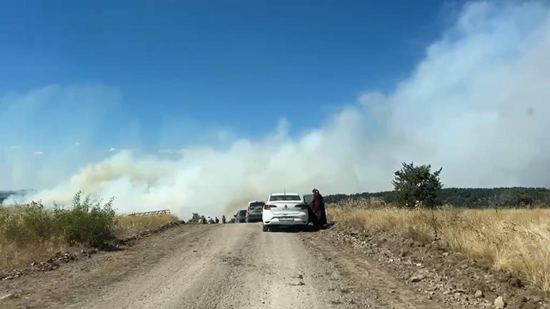 Ankarada orman yangını