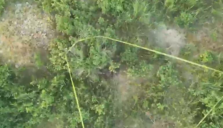 12 yıl sonra kimliği belirlenen Dilek Kalkanın ölümüne ilişkin 2 şüpheli tutuklandı