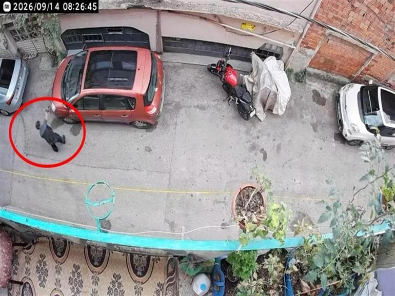 Bursada kucağındaki kediye şiddet uygulayan şüpheli yakalandı
