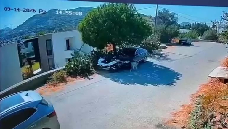 Bodrumda otomobil, iki köpeğin üzerinden geçti; o anlar kamerada