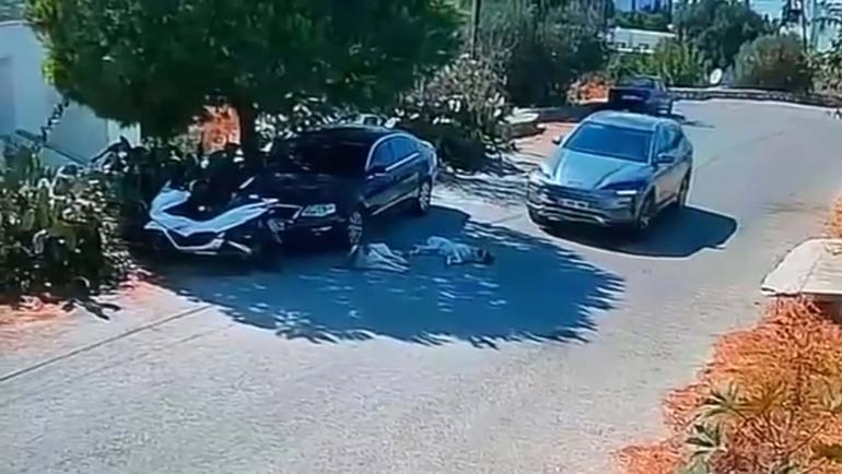Bodrumda otomobil, iki köpeğin üzerinden geçti; o anlar kamerada