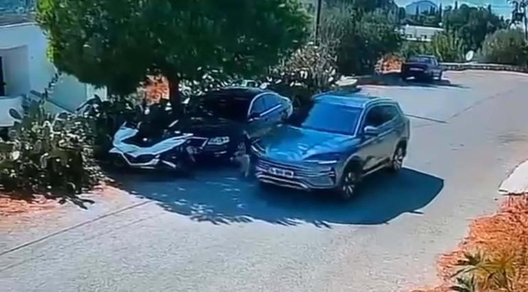 Bodrumda otomobil, iki köpeğin üzerinden geçti; o anlar kamerada