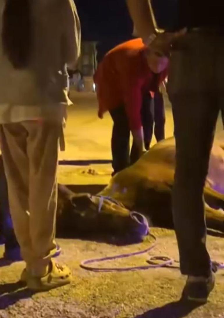 Ata şiddet uygulandığı iddiası; 2 şüpheli gözaltında