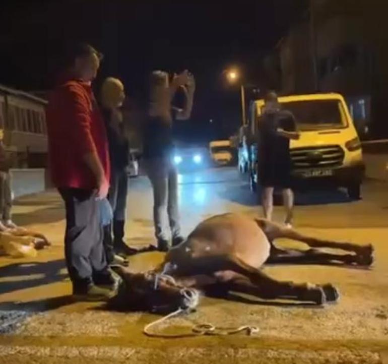 Ata şiddet uygulandığı iddiası; 2 şüpheli gözaltında