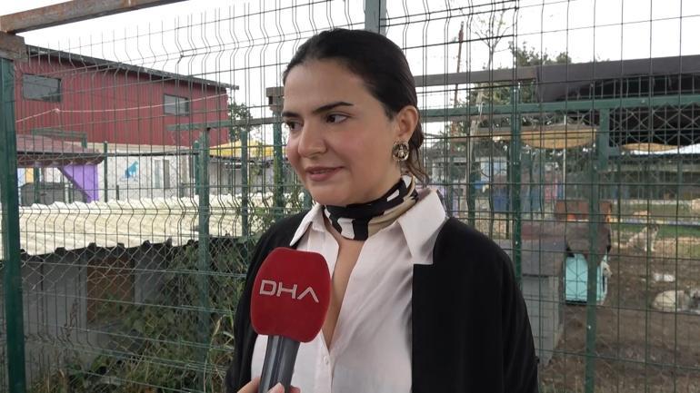 Pirelerin istila ettiği binadan çıkarılan köpeğe, kendisini kurtarıp sahiplenen avukatın adı verildi