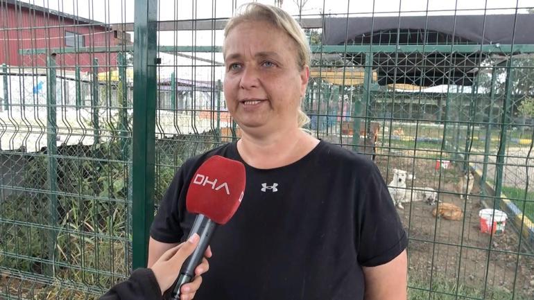 Pirelerin istila ettiği binadan çıkarılan köpeğe, kendisini kurtarıp sahiplenen avukatın adı verildi