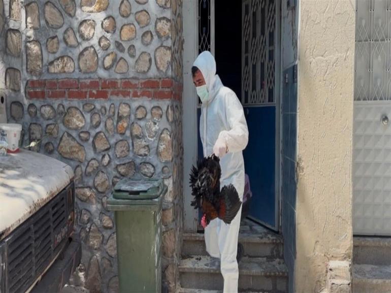 Pirelerin istila ettiği binadan çıkarılan köpeğe, kendisini kurtarıp sahiplenen avukatın adı verildi