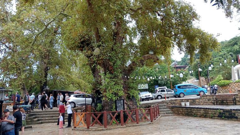 Hatayda şiddetli sağanak nedeniyle dereler taştı