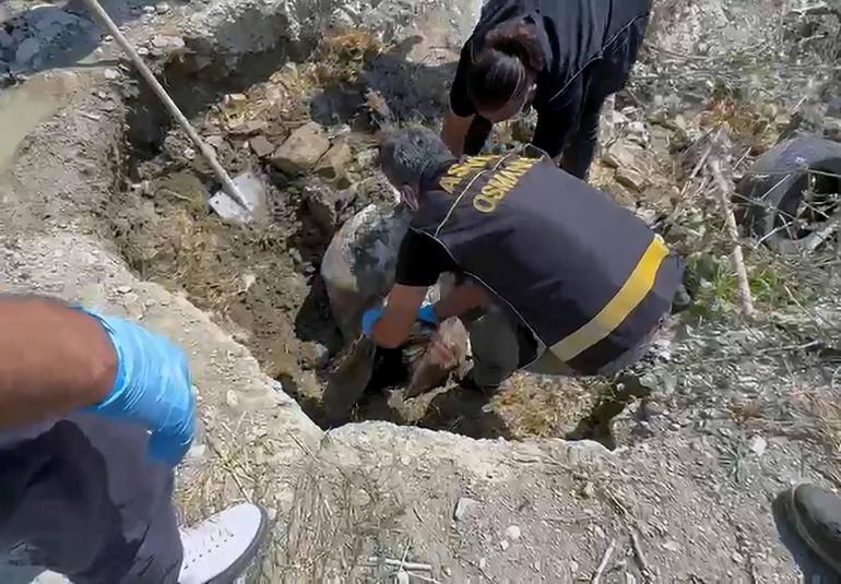 Kayıp Ayşegülün cesedi, 24 gün sonra ormanda gömülü halde bulundu