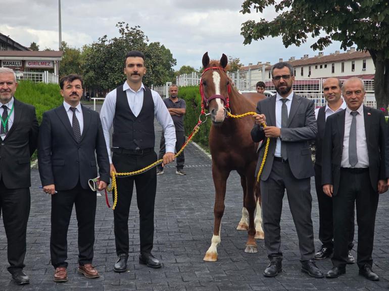TİGEM 13 elit tay satışından 51 milyon 600 bin lira gelir elde etti