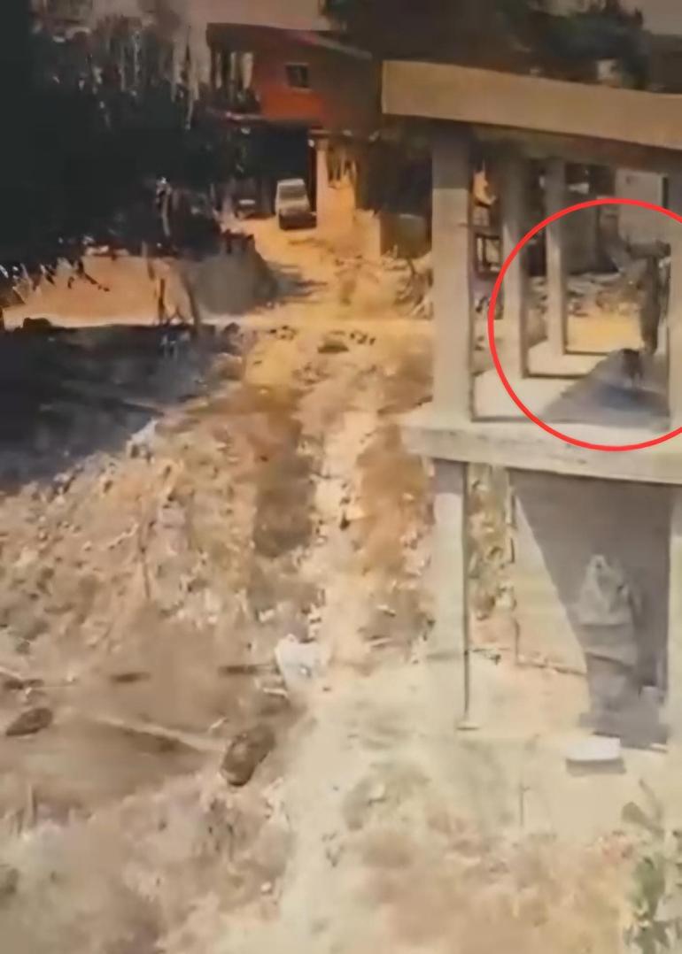 İnşaatta yatan köpeğe sopayla şiddet uyguladı; o anlar kamerada