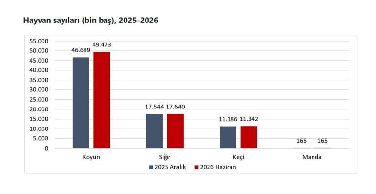 Hayvan varlığı haziran ayında arttı