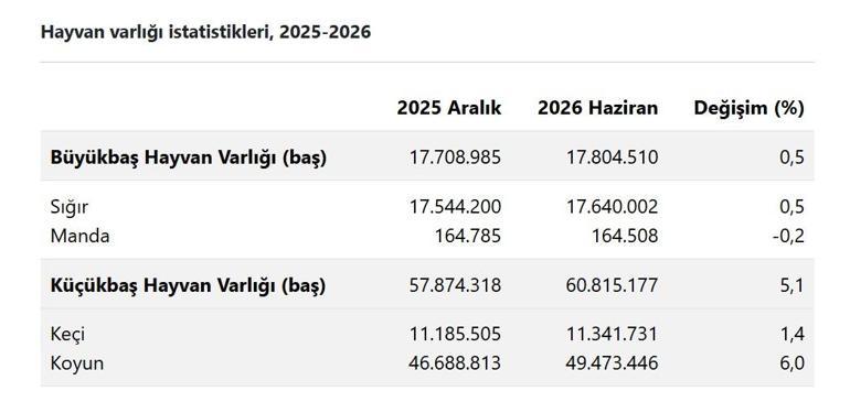 Hayvan varlığı haziran ayında arttı