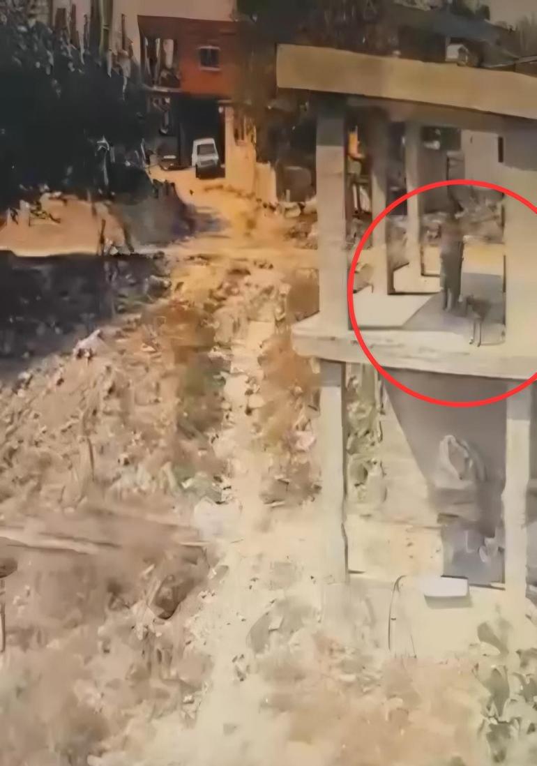 Komşusunun köpeğine, tavuklarını yediği için şiddet uygulamış