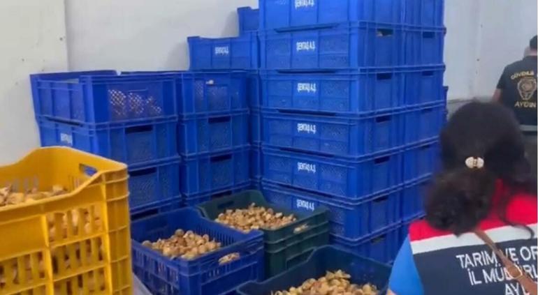 İncir işletmesinde 25 ton etiketsiz ürün ele geçirildi