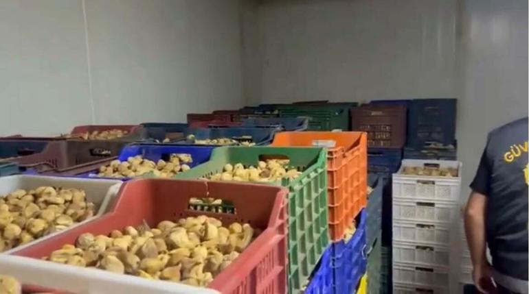 İncir işletmesinde 25 ton etiketsiz ürün ele geçirildi