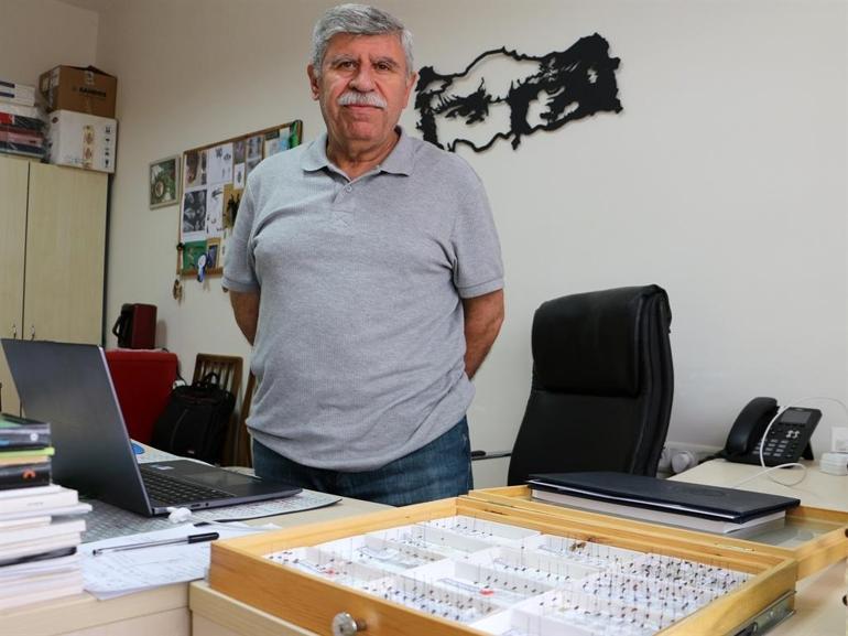 Profesör, keşfettiği sinek türüne ölen oğlunun adını verdi