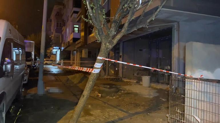 Küçükçekmecede elektrik akımına kapılan köpek öldü, sahibi yaralandı