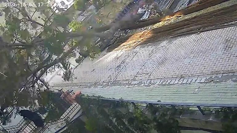 Avcılar’da devrilen ağacın altında kalmaktan son anda kurtuldu