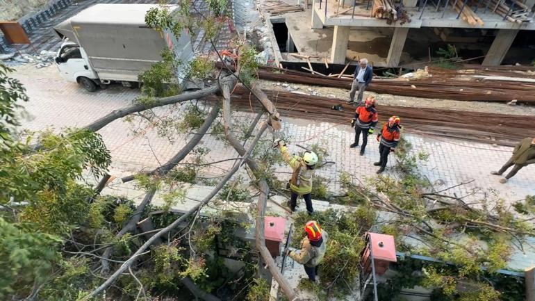 Avcılar’da devrilen ağacın altında kalmaktan son anda kurtuldu