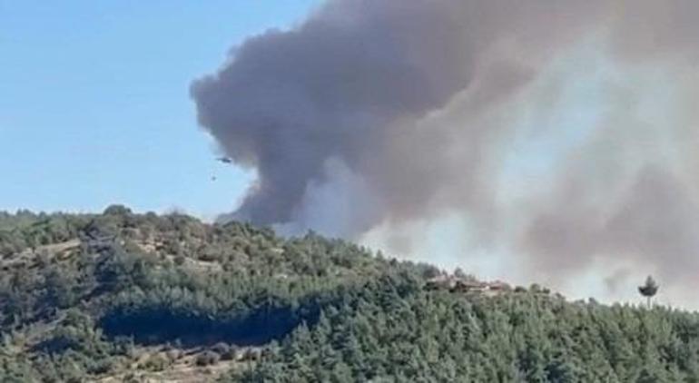 Bursada orman yangını