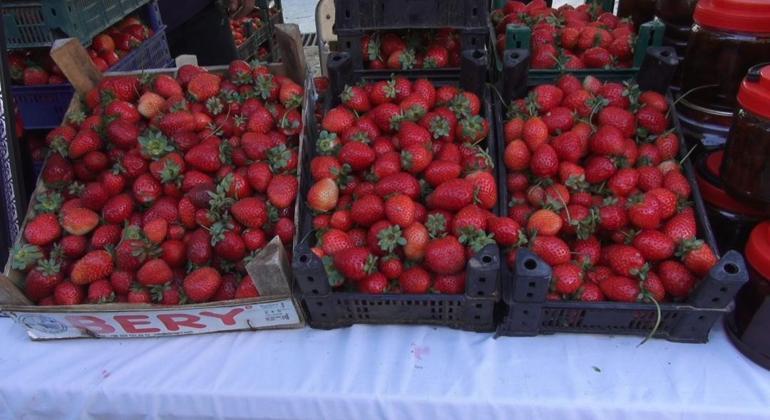 Sason’da festivalde 1 kilo bal 400 bin liraya satıldı