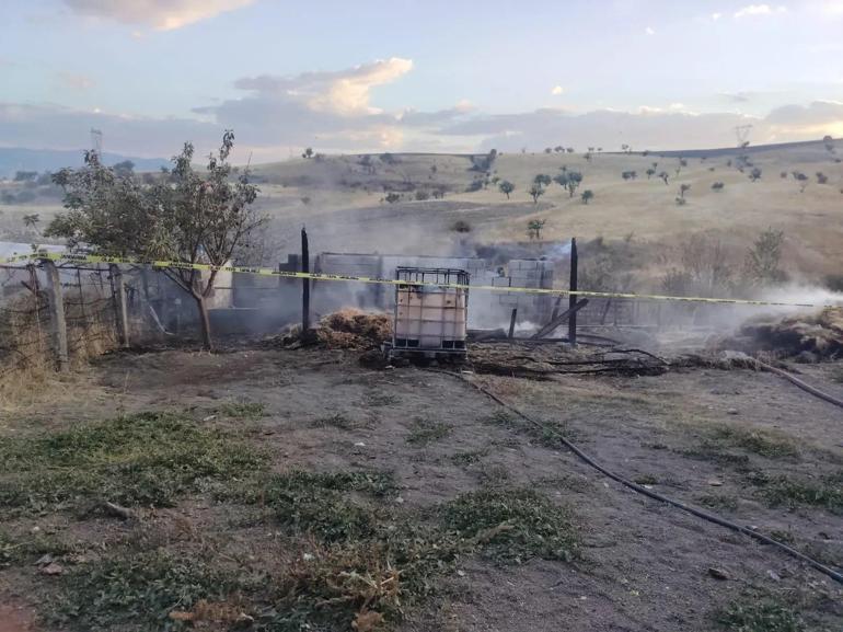 Kütahyada ahırda yangın: 1 ölü