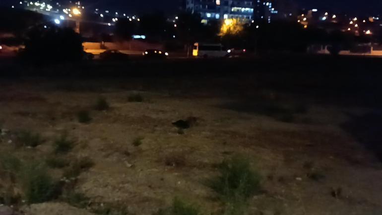 Gaziantep’te 16 yaşındaki çocuk bıçaklanarak öldürüldü