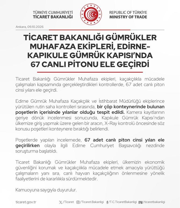 Edirne-Kapıkule Gümrük Kapısında 67 canlı piton ele geçirildi