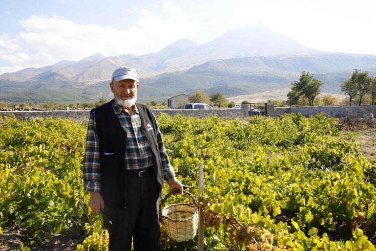 58 yıllık eşine her doğum gününde çiçek yerine üzüm hediye ediyor
